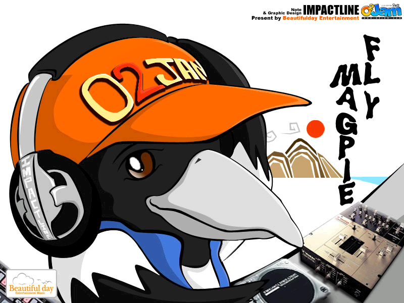 Fly Magpie cover artwork